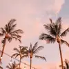 Oliviadyson123? - @oliviadyson0 - TikTok
