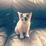 Olivia Edmondson - @livkate2007 - Instagram