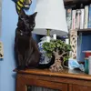 olivia - @olivia.eley - TikTok