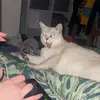 Olivia - @_oliviaelia - TikTok
