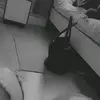 Olivia Elia - @oliviaelia12 - TikTok