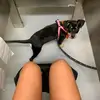 Olivia Esqueda - @beeboopbopp - TikTok