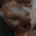Olivia - @olivia.evers32 - Instagram