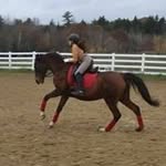 Olivia Fallon - @olivia.fallon.77 - Instagram