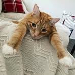 Olivia Fallon - Facebook