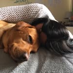 Olivia Fallon - @viangskifallon - Instagram