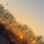 Olivia Fallon - Facebook