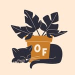 Olivia Feathers - @oliviafeathersdesign - Instagram