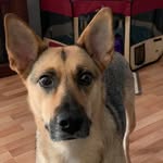 Olivia Feathers - @sastr2009 - Instagram