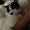 Olivia - @olivia.featherston - TikTok