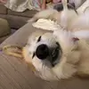 Olivia - @kungfufeiten_ - TikTok