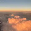 olivia - @oliviavfeldman - TikTok
