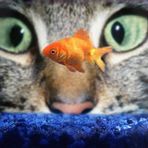 Olivia Ferro - Facebook