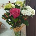 Olivia Ferro - Facebook