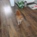 Olivia Fielding - Facebook