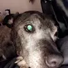 Olivia Finney - @oliviafinney93 - TikTok