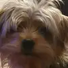 Olivia Fitzpatrick - @user01441854 - TikTok
