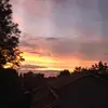 oliviafitzpatrick_ - @_oliviafitzpatrick - TikTok