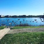 Olivia Flint - @the_flint_family - Instagram