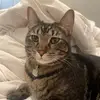 Olivia Fogle - @olivekat4 - TikTok