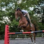 Immy Olivia Sarah Foote - @immy_olivia_sarah - Instagram