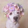 Olivia Forward - @olivia.nz.animals - TikTok