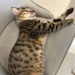 OliviaZhu - @olivia_forwards - Instagram