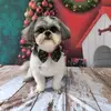 oliviafraga190 - @oliviafraga190 - TikTok