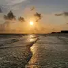 Liz Oosthuizen - @olivia.fraser1 - TikTok
