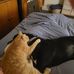 Olivia Fraser - Facebook