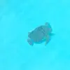 olivia_frazier - @olivia_asethic - TikTok