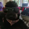 ORF13 - @oliviafrey_13 - TikTok
