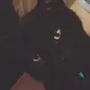 Olivia  - @olivia.frisone - TikTok