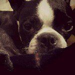 Olive Webb - @olivia_from_midtown - Instagram