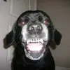 olivia fullerton - @olivia..fullrton - TikTok