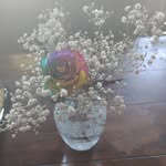 Olivia funk - @skucat358 - Instagram