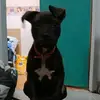 Olivia Galarza - @oliviagalarza231 - TikTok