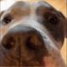 Olivia Galason - Facebook