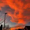 olivia.gall - @olivia.gall - TikTok