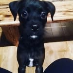 olivia gallant - @tucker_345 - Instagram