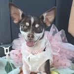 Gallegos Olivia - @olivia.gallegos.79 - Instagram