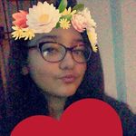 love cats🐱❤single🔓🚫💥LMS💥 - @olivia_gallegos_334 - Instagram