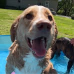Olivia Gass - Facebook