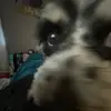 livvv - @olivia.gates_ - TikTok