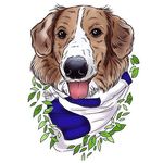 ⠀⠀⠀⠀dublin olivia gaunt 🇨🇦 - @dublinthemutt - Instagram