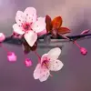 oliviagauntlett29 - @oliviagauntlett29 - TikTok