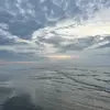 𝙾𝚕𝚒𝚟𝚒𝚊 𝙶𝚎𝚒𝚐𝚎𝚛 - @oliviageiger.0 - TikTok