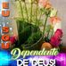 Olivia Gloria - Facebook