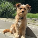 Il Magico Mondo Di Olivia - @oliviagoeswild - Instagram