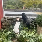 Olivia Goodnow - Facebook